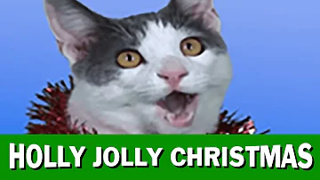 JINGLE CATS "Holly Jolly Christmas"