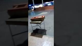 Feria chicharras 2017