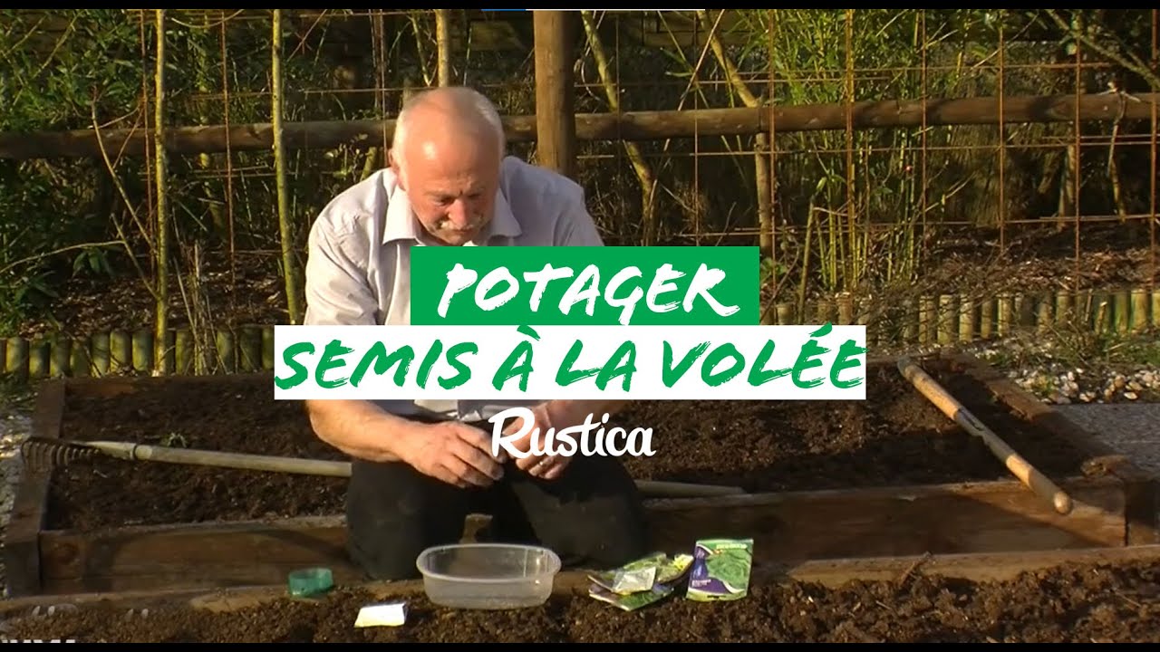 Semer à la volée des légumes au potager en mars