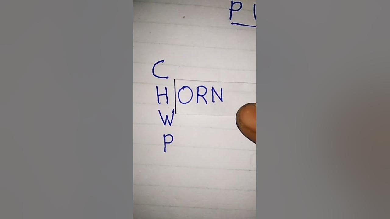 FUn tOoOo RHyMe ☠️☠️🎉💯 #music #song #funny #singing #sus