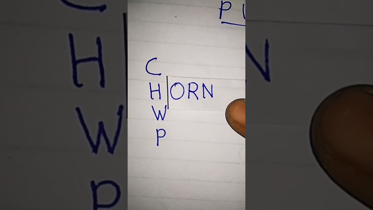 FUn tOoOo RHyMe ☠️☠️🎉💯 #music #song #funny #singing #sus