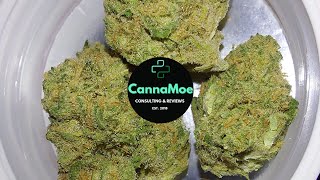 REVIEW in 4k 🖤🧨 #Avaay23/1 BKR #BlackKrush 22,3% THC #Aleafias #Kanada #whiterussian x #blackdomina
