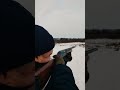 The Best Shotgun for Winter Hunts #hunting #gear #comparison