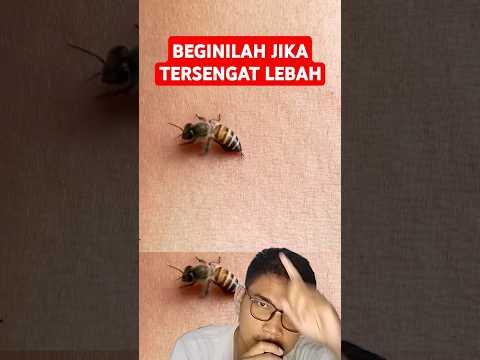 APA YANG TERJADI