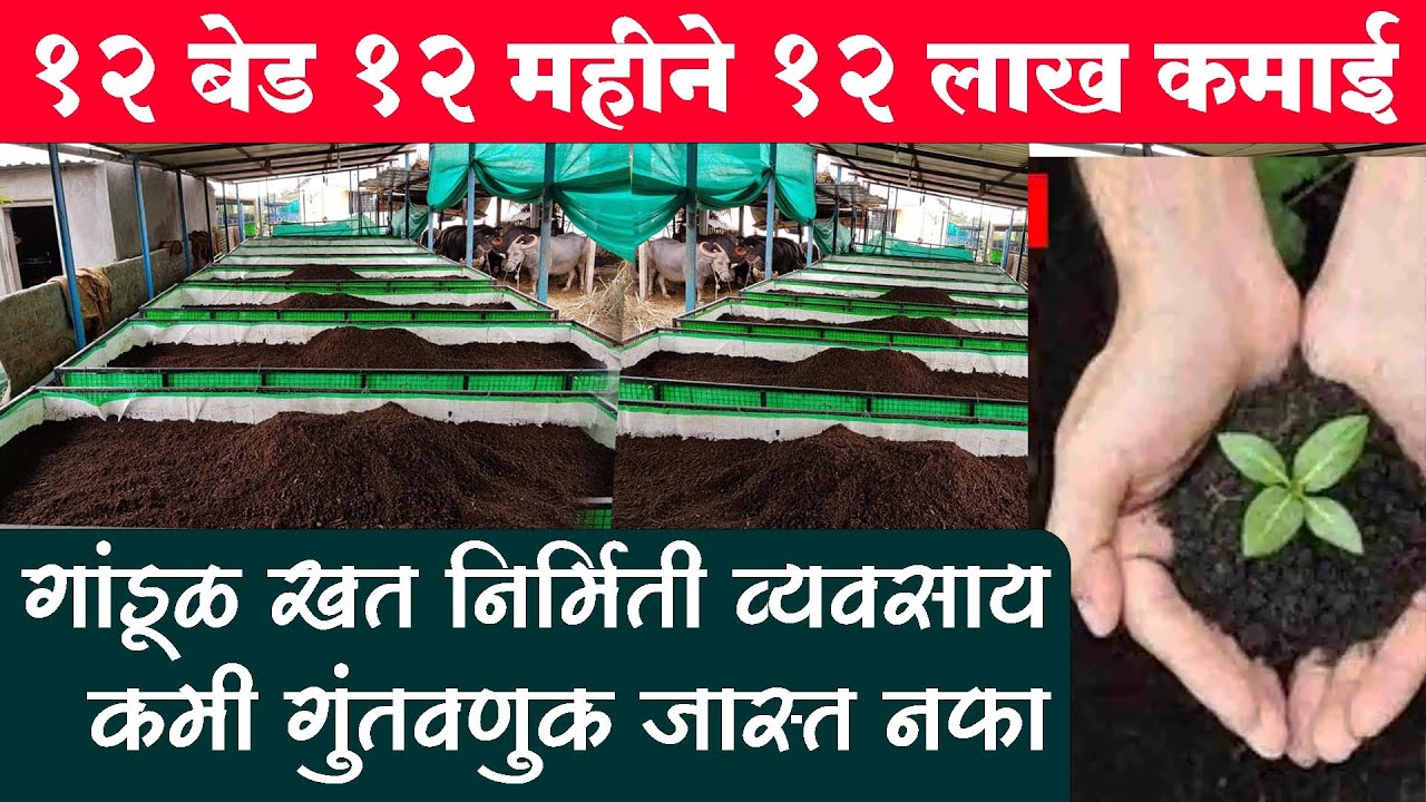 गांडूळ खत तयार करून कमवा हजारो | व्यवसायाची कल्पना | Gandul | Khat | vermiwash | vermicompost |