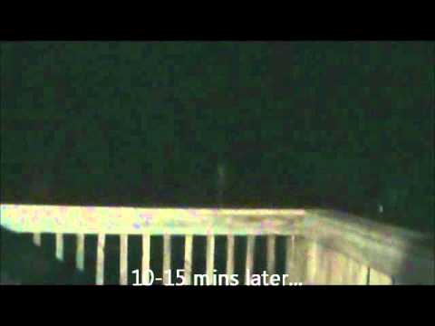 fox sounds at night fox sounds at night