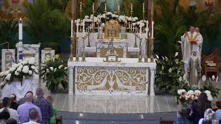 Sunday Holy Mass:  Weekend of May 10, 2026 at 9 am St. Michael Catholic Church - St. Michael, MN