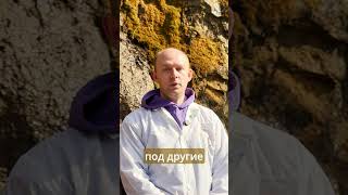Почему аппендицит у детей маскируется? Симптомы, которые пропускают родители