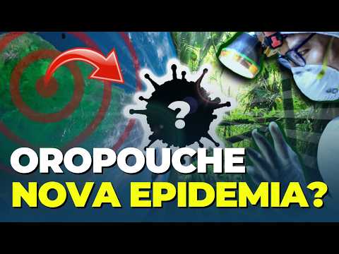 Vídeo: Foi Descoberto Um Novo Vírus Que Pode Causar Uma Epidemia - Visão Alternativa