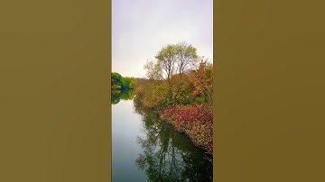 اكتب شيء تؤجر عليه❤️ #quran #nature #اكسبلور #راحة_نفسية #قرآن #قران_كريم #تلاوة_خاشعة #explore