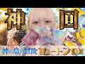【開封動画】神の島の冒険どころの話ではない【神カートン】