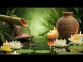 55 ☀️ Bamboo Water & Soft Piano 🌸 Relaxing Music for Forest Sunrise, Meditation & Positive Energy 💧