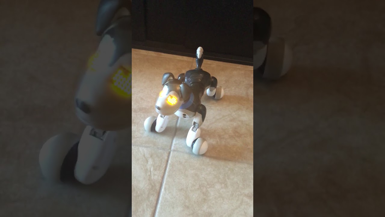 Zoomer Interactive Puppy - Shadow