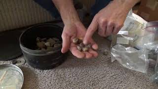 Tumbling and Polishing Rocks. A new batch. Step 1.