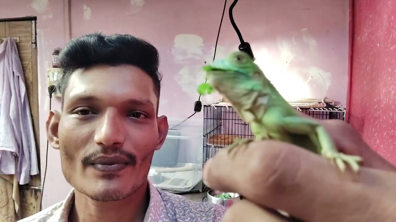 parmar pats vlog part 02 terentula ne khana nay khaya