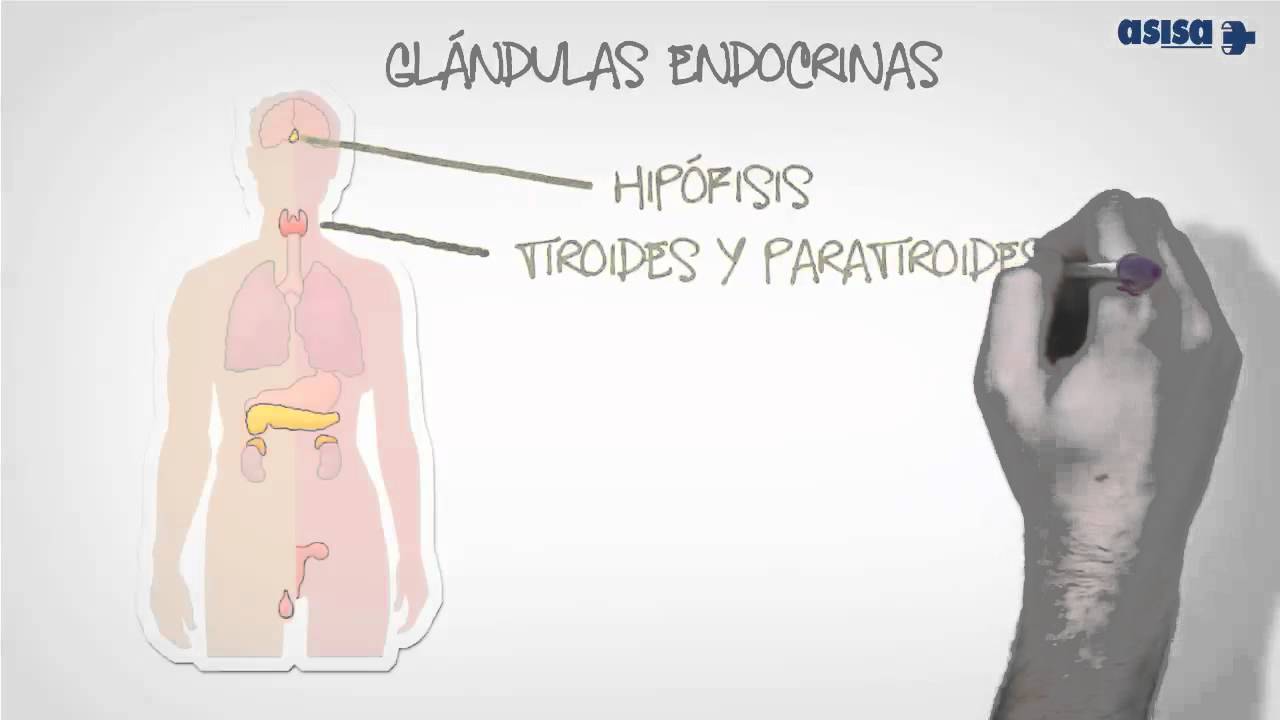 endocrinologo o nutriologo para bajar de peso endocrinologo o nutriologo para bajar de peso