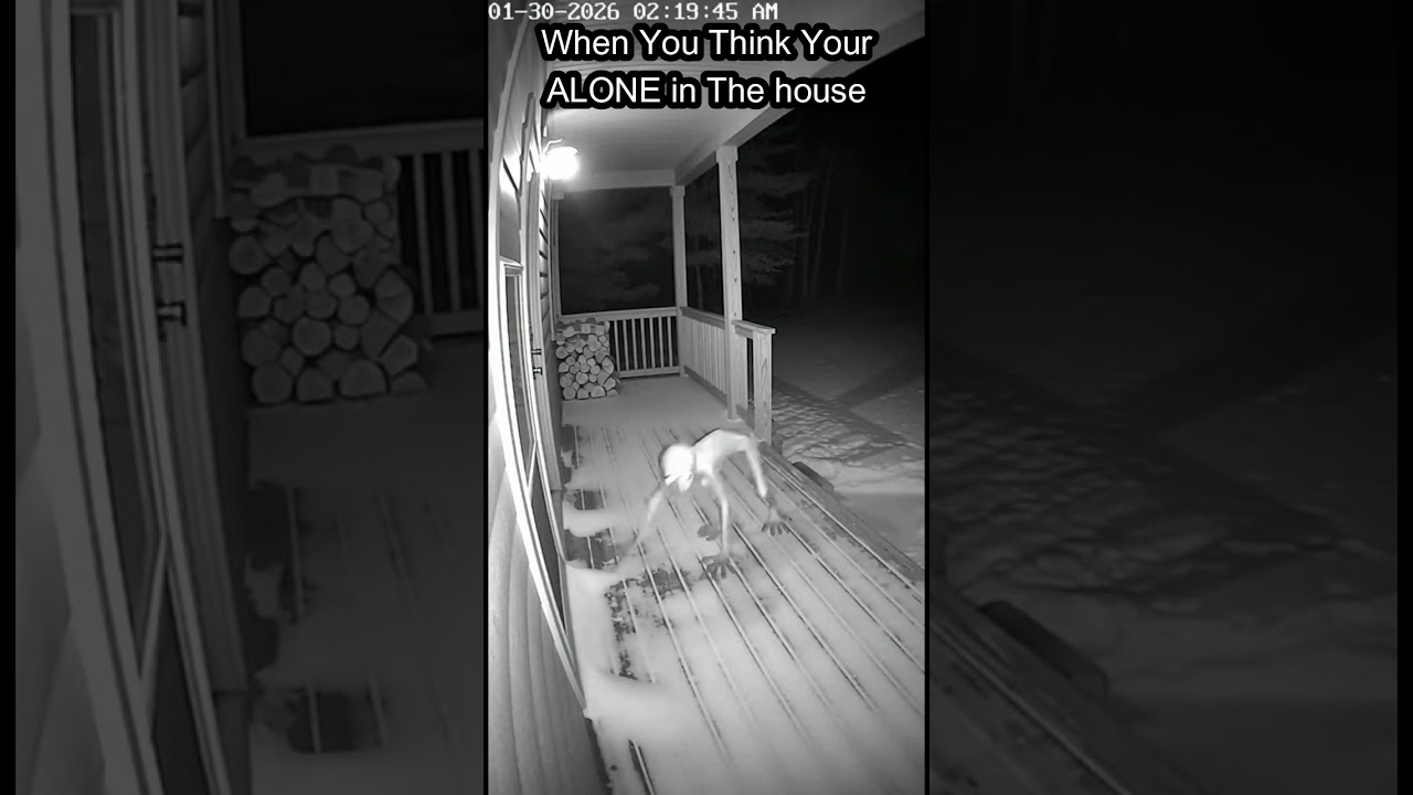 Alaska Strange Two Legged Creature Captured on Security Camera
