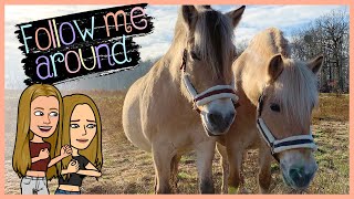 💥 Pflegen, Reiten, Füttern und Futtern: One Day with Blondis auf Fjordis 🐴👭🏼