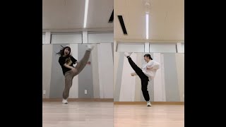 【踊ってみた】Seven／石田亜佑美・稲場愛香