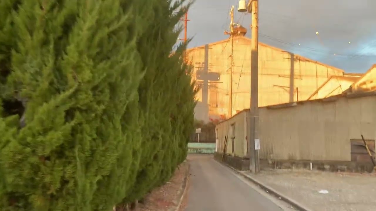 夕方、大野海岸を散歩しました。風があり、寒かったです。