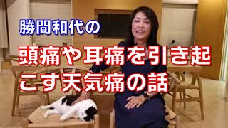 頭痛や耳痛を引き起こす天気痛の存在を知ろう。あなたの定期的な頭痛や耳痛やめまいは気圧の変化から起きているかもしれません。