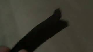 IMG 1360