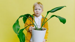 Population Growth | How many babies are born every second