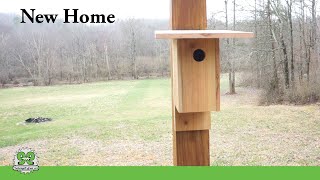 Modern Simple Bluebird House - One Cedar Fence Picket