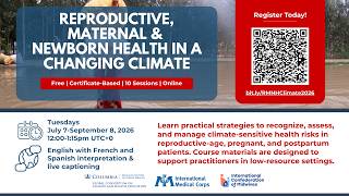 Session 3 Air Pollution Wildfire Smoke and Perinatal Health