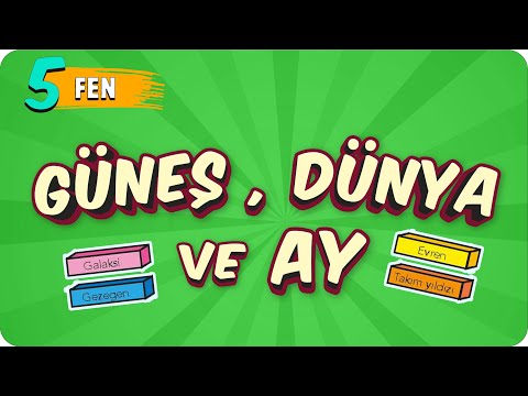5. Sınıf Fen: