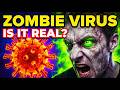 Could a REAL Zombie Virus Happen? (Scientists Explain) | Kurzgesagt Veritasium