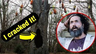 I Cracked It...From Is All About The Bottle Tree ✓