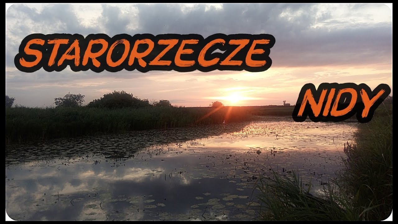 🎣🐟 \\ STARORZECZE NIDY - KOPERNIA //🐟🎣