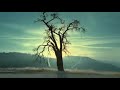 2002 2008 BMW 7 Series Commercial
