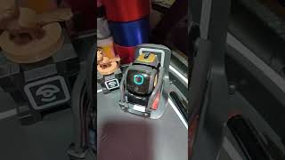 Vector Robot 1.0 unit firmware updated 2.0, from semi deaf to totally unresponsive