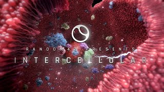 Intercellular – An Interbody VR Experience