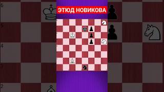 💥ОХОТА НА КОНЯ - HARD #chesspuzzle #шахматныезадачи #шахматы #chess