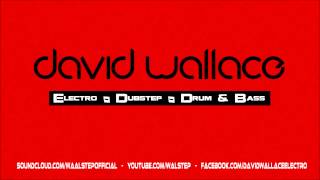 David Wallace - Shadow Clip (Dubstep/ Electro)