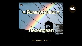 Коммуналка