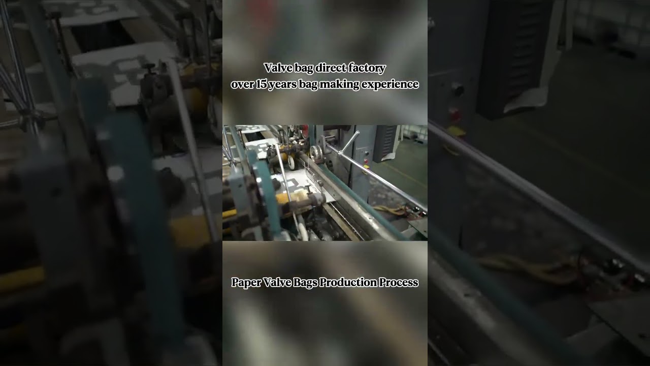 Paper Valve Bags Factory with over 15years Experience