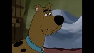 Scooby Doo Dust Allergy Sneeze Compilation
