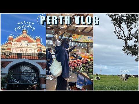 Vlog | Perth Diaries Ep. 3 🇦🇺 Bye Farm Hello City// Exploring Fremantle, Cottesloe Beach