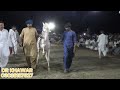 گھوڑا #عطامولا ہارس ڈانسنگ پروگرام حویلی جائیون ضلع جھنگ