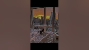 ‏والله اخرجكم من بطون أمهاتكم | الشيخ ياسر الدوسري | سورة النحل