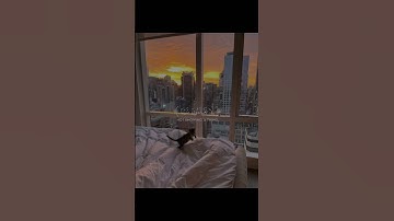 ‏والله اخرجكم من بطون أمهاتكم | الشيخ ياسر الدوسري | سورة النحل