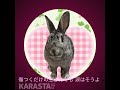 森口博子のETERNAL WIND -ほほえみは光る風の中ーを歌ってみた / 音夢(ねむ)chan