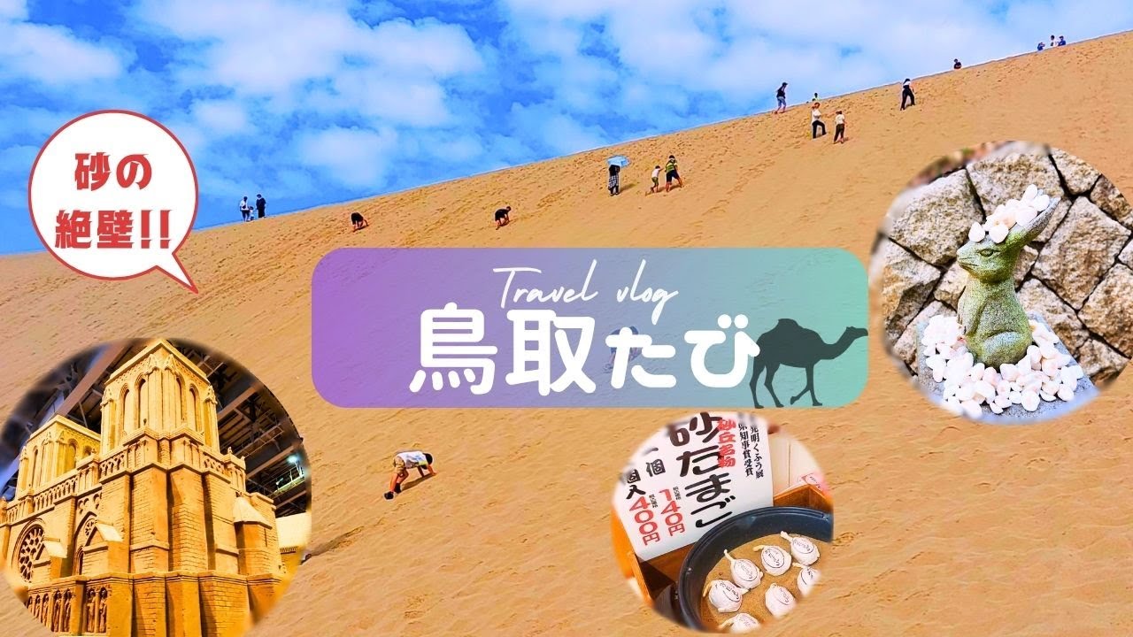 【驚愕】鳥取砂丘は絶壁だった！観光時の靴（スニーカーorサンダル）についてもご紹介｜砂の美術館｜白兎神社｜浦富海岸遊覧船