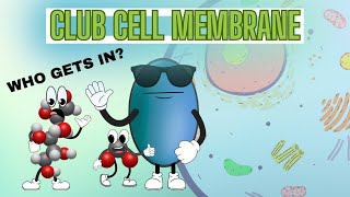 Cell Transport Made Easy: Welcome to Club Membrane
