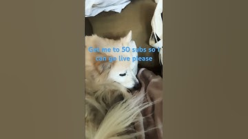 Get me to 50 subscribers so I can go live please