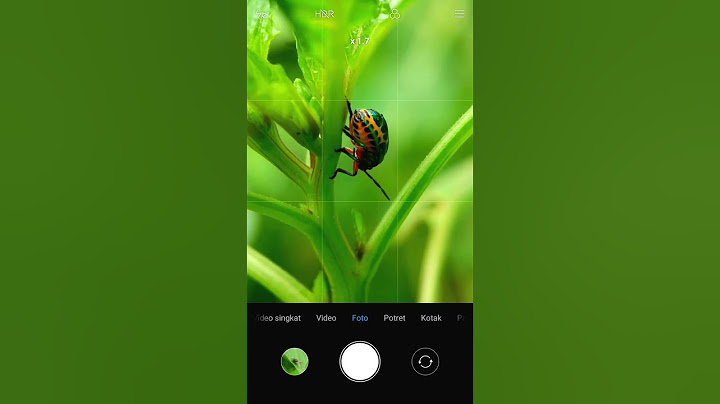 Foto dengan kamera hp jadul + lensa makro
